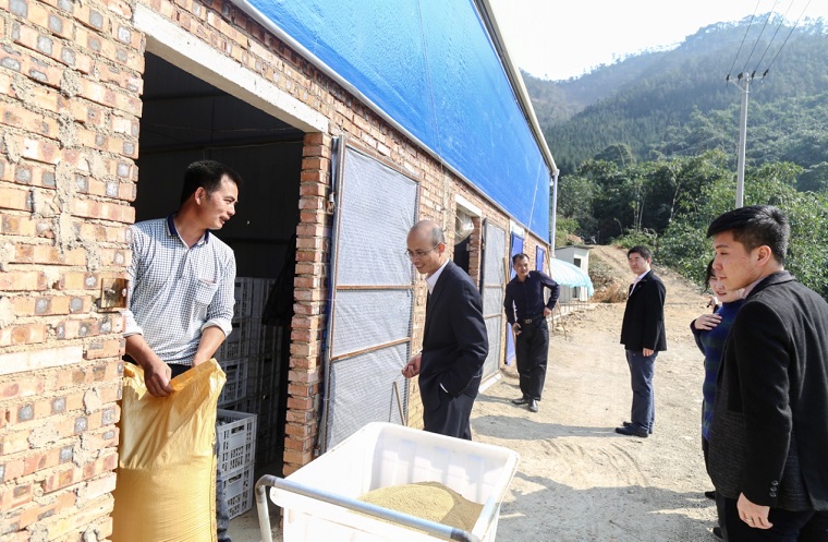 918博天堂·(中国区)官方网站